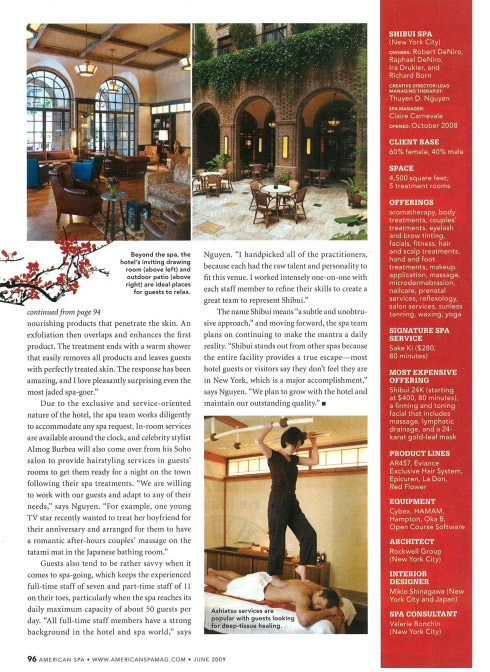 Greenwich Press 2009 06 American-Spa